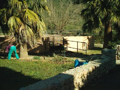 CAMPO (9)  LABRANZA